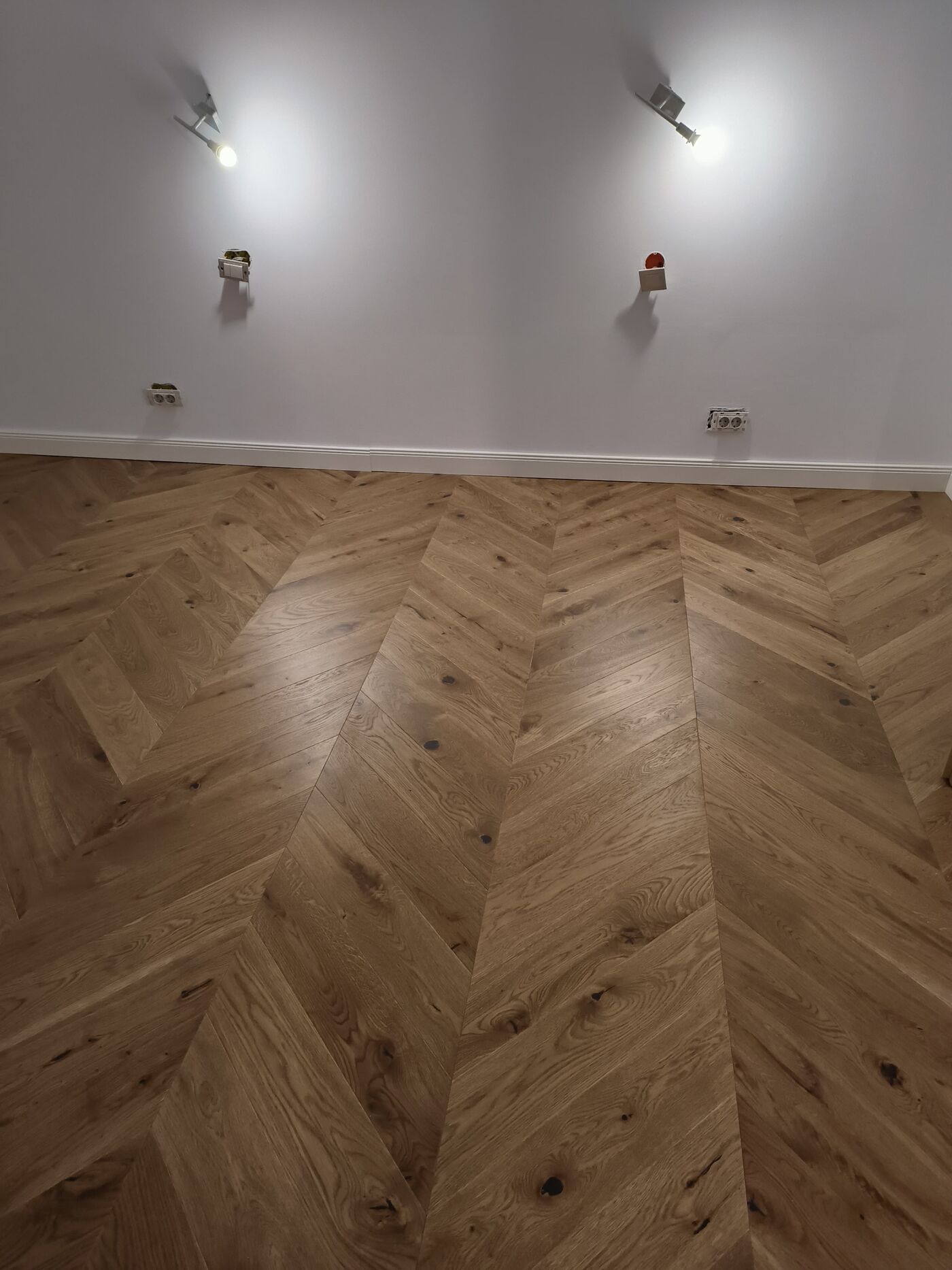 Professional equipment for rent